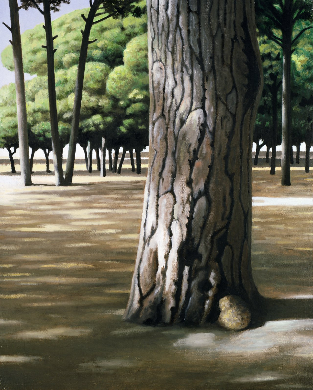 Yard with Pine Trees III