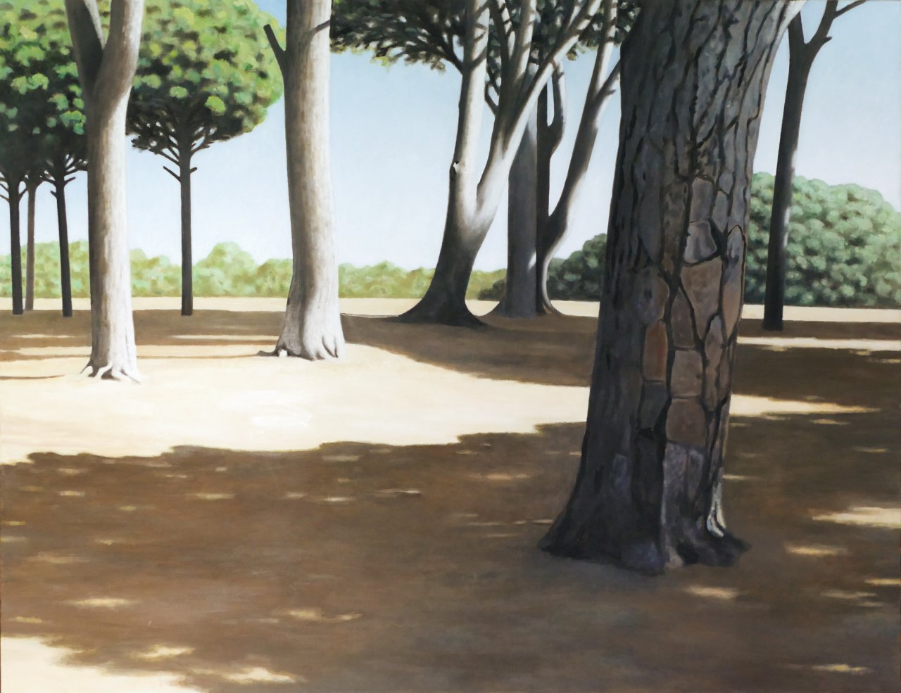 Yard with Pine Trees IV