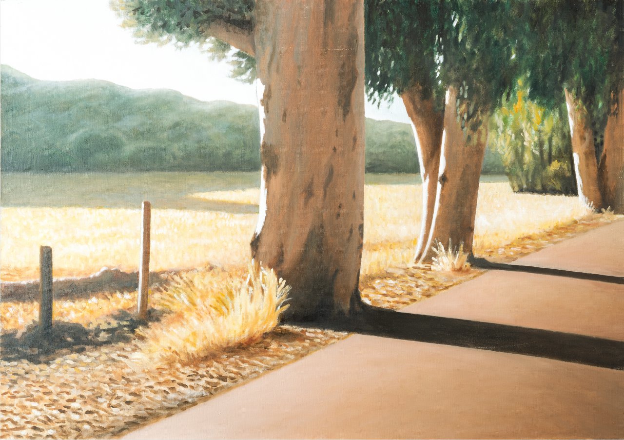 Road with Eucalyptus Trees