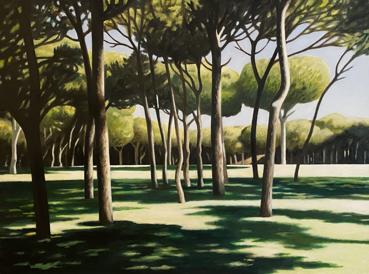 In the Pine Forest