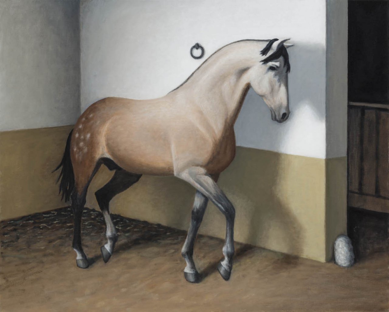 Horses 22