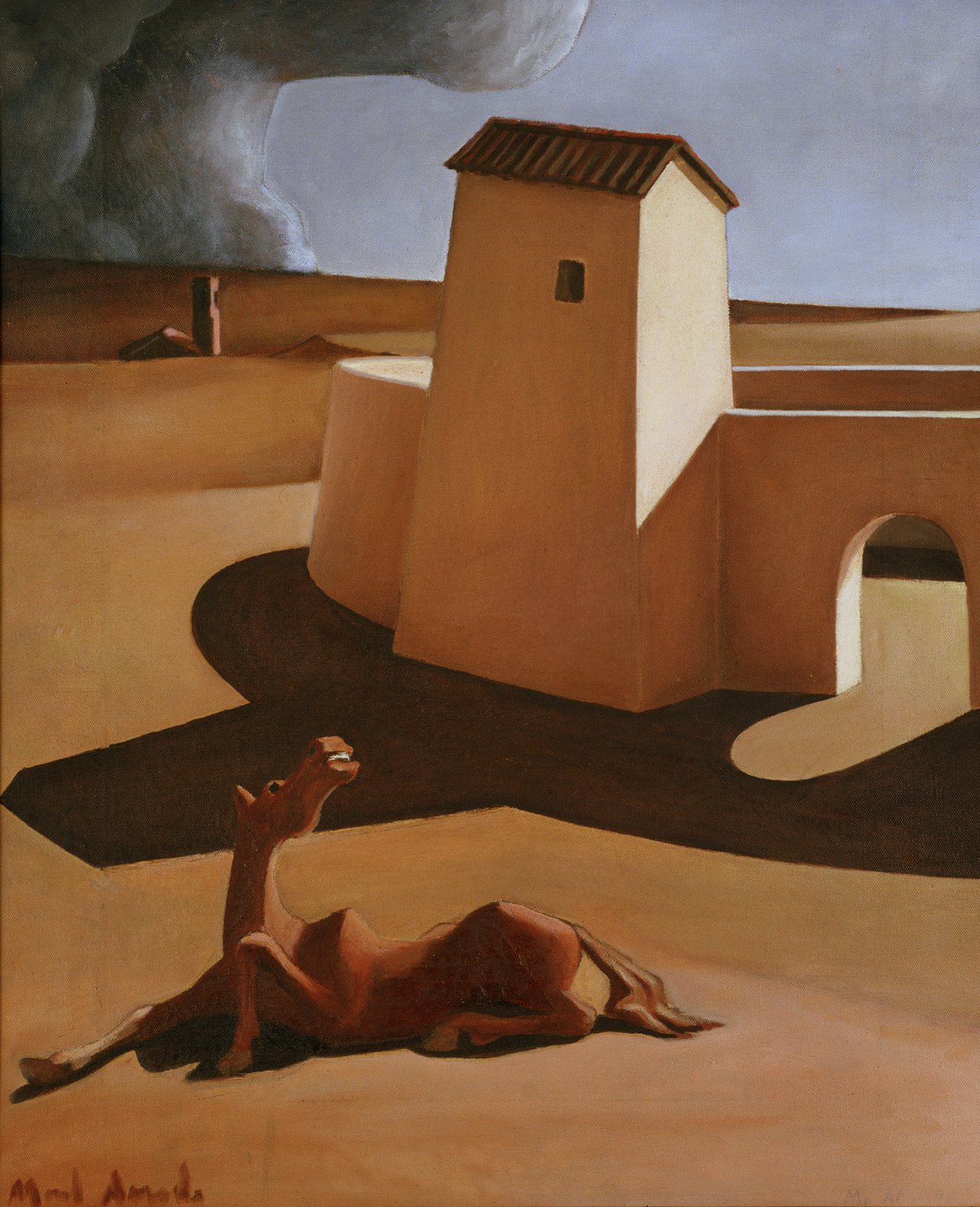 Cavalo e pra&ccedil;a de touros