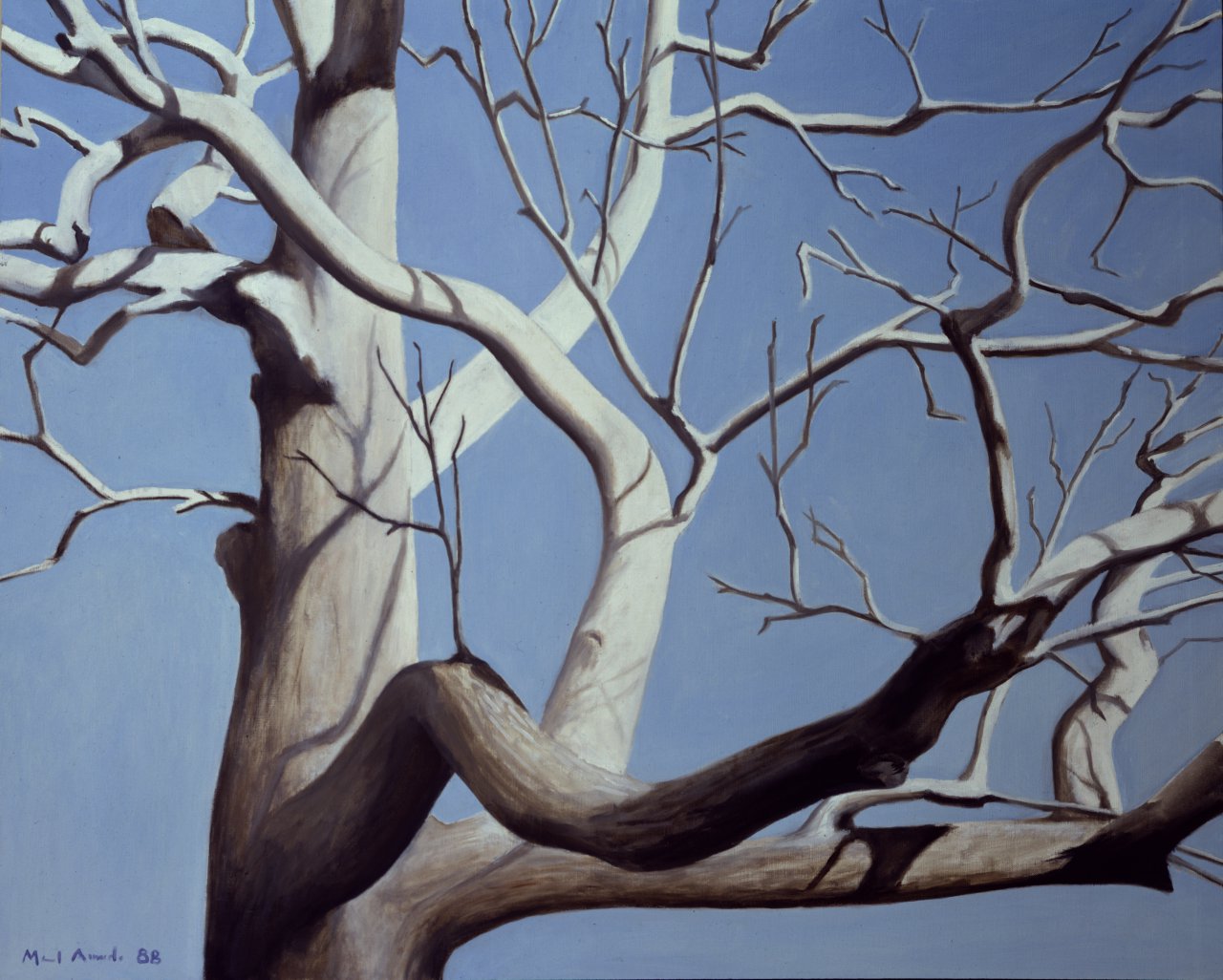 The Walnut Tree