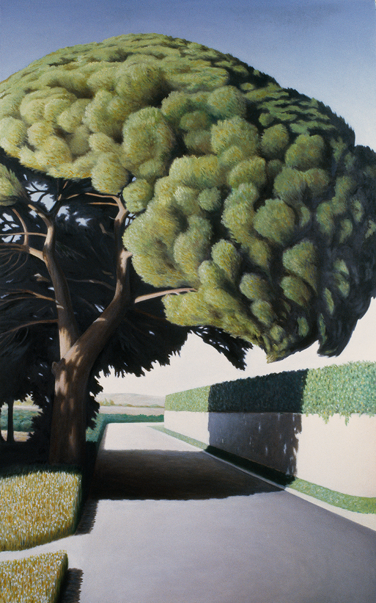 Road with Pine Tree II