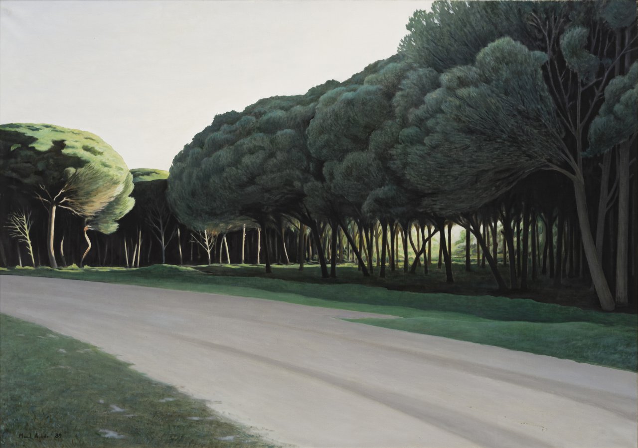 Pine Forest in the Evening III