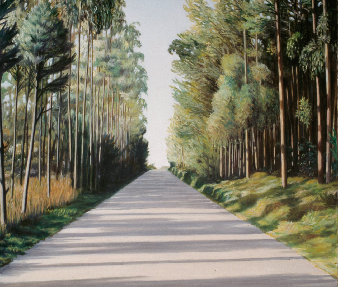 A estrada [The Road]