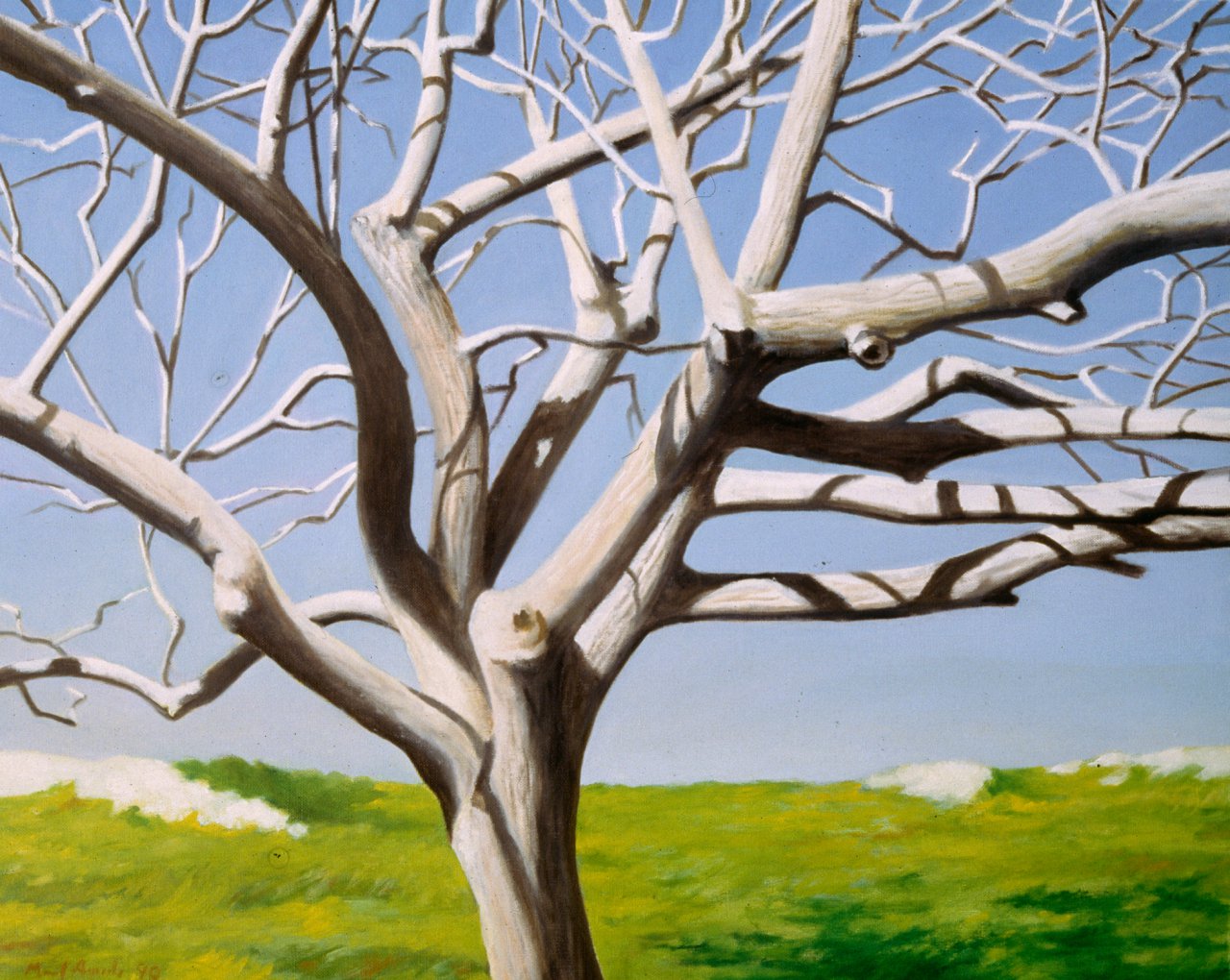 A nogueira II [The Walnut Tree II]