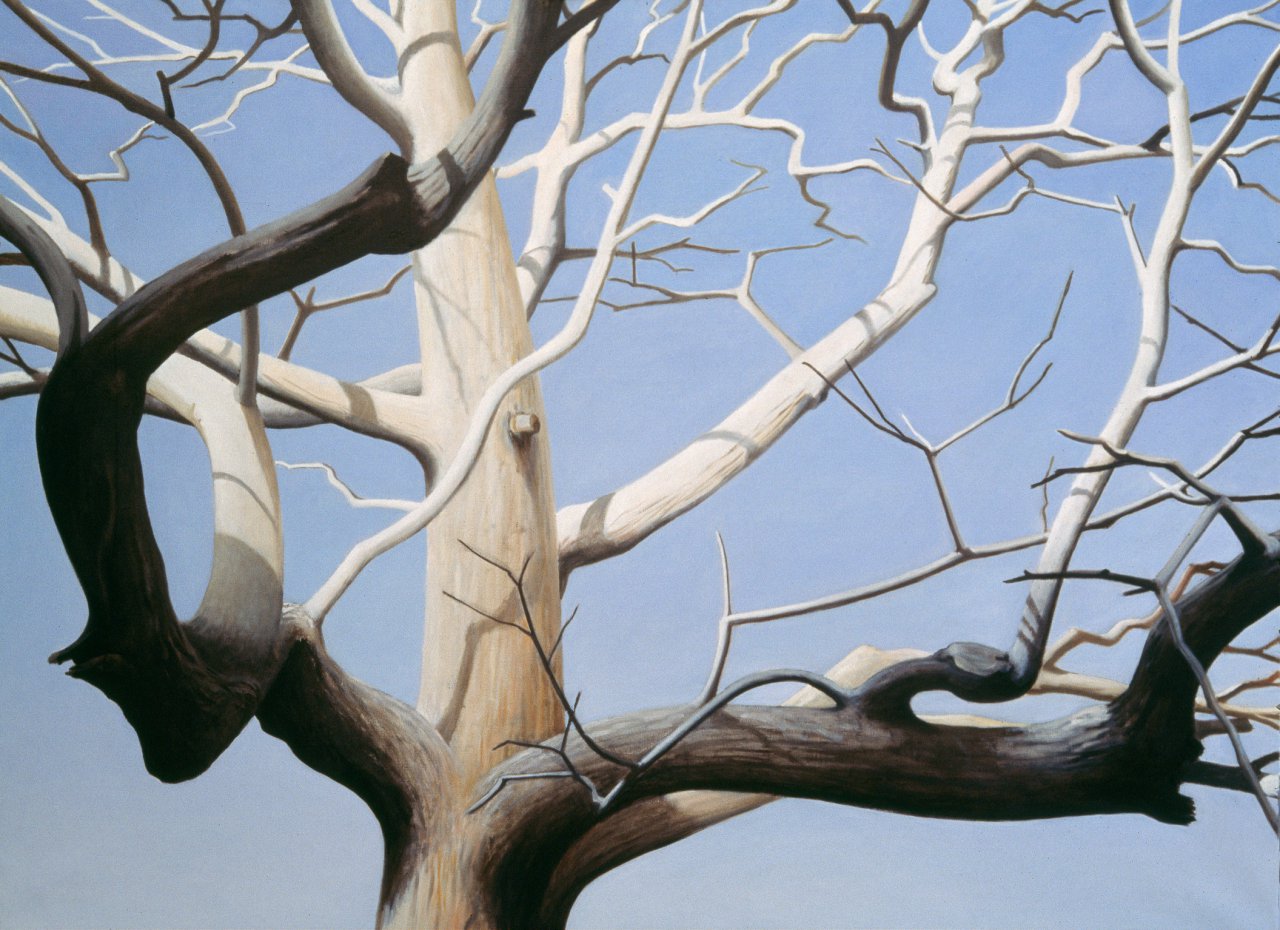The Walnut Tree III]