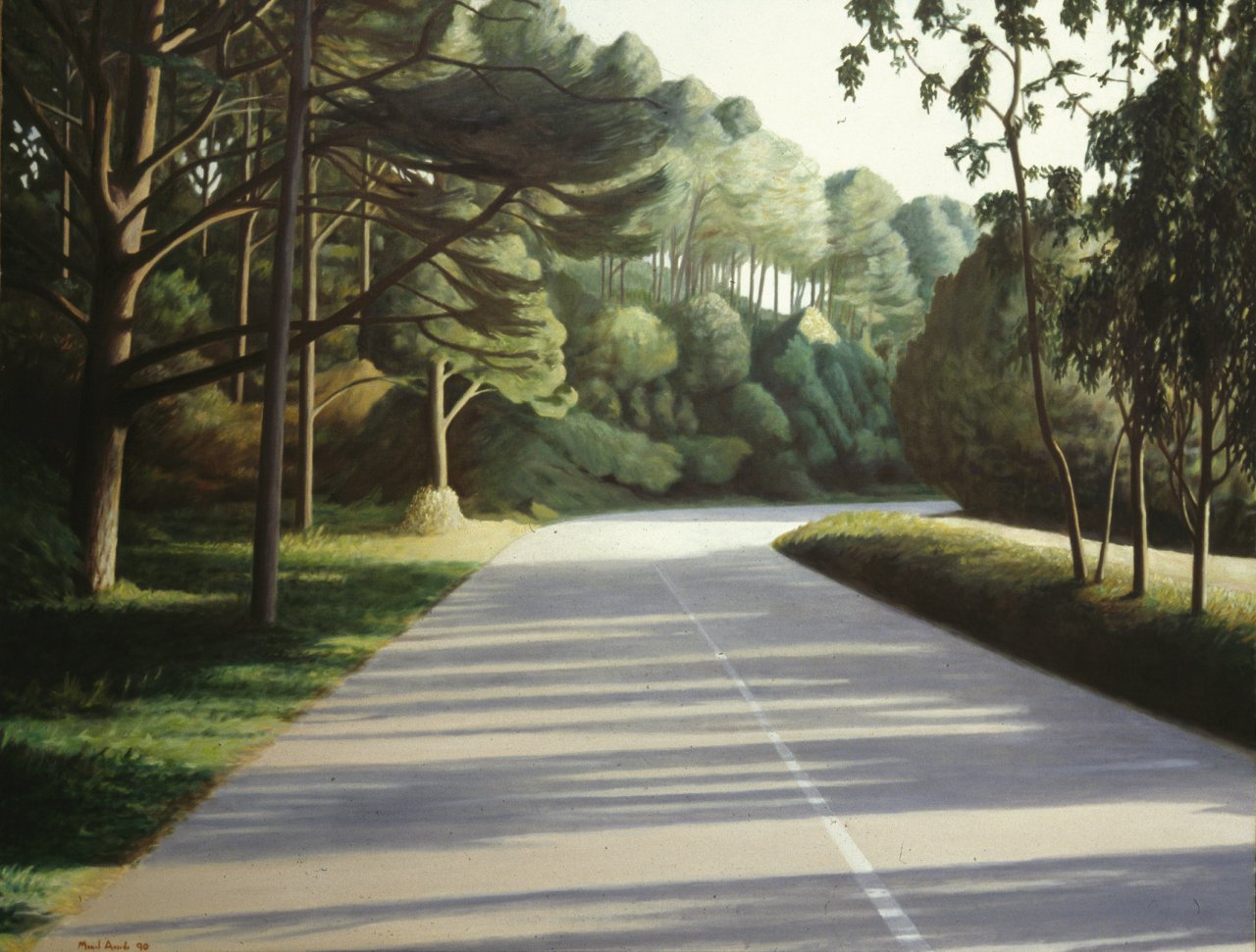 Evening in the Road