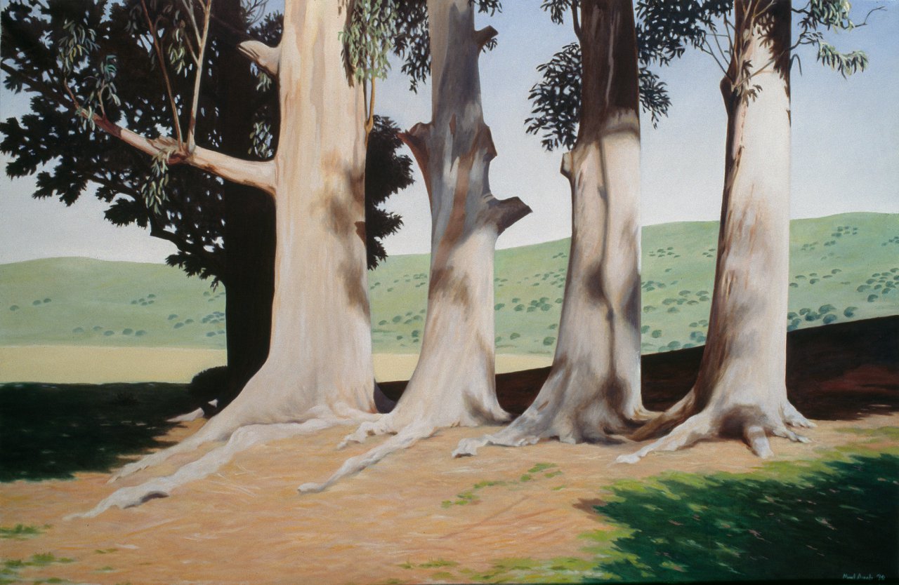 The 4 Eucalyptus Trees
