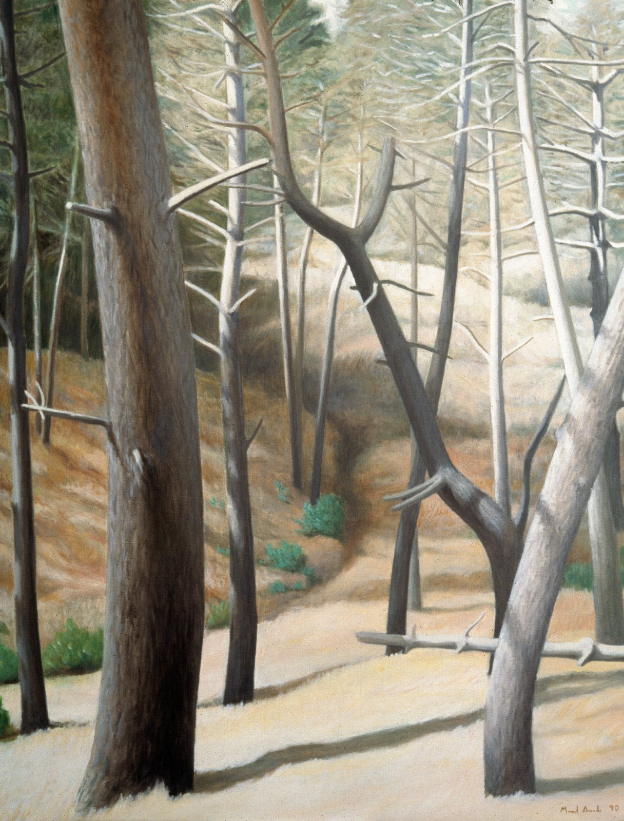 Burnt Pine Forest