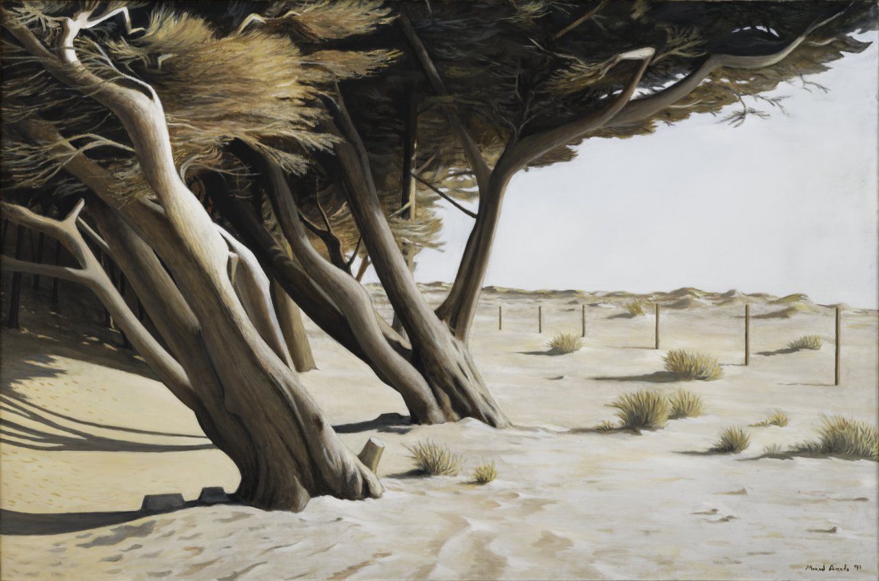 &Aacute;rvores na praia