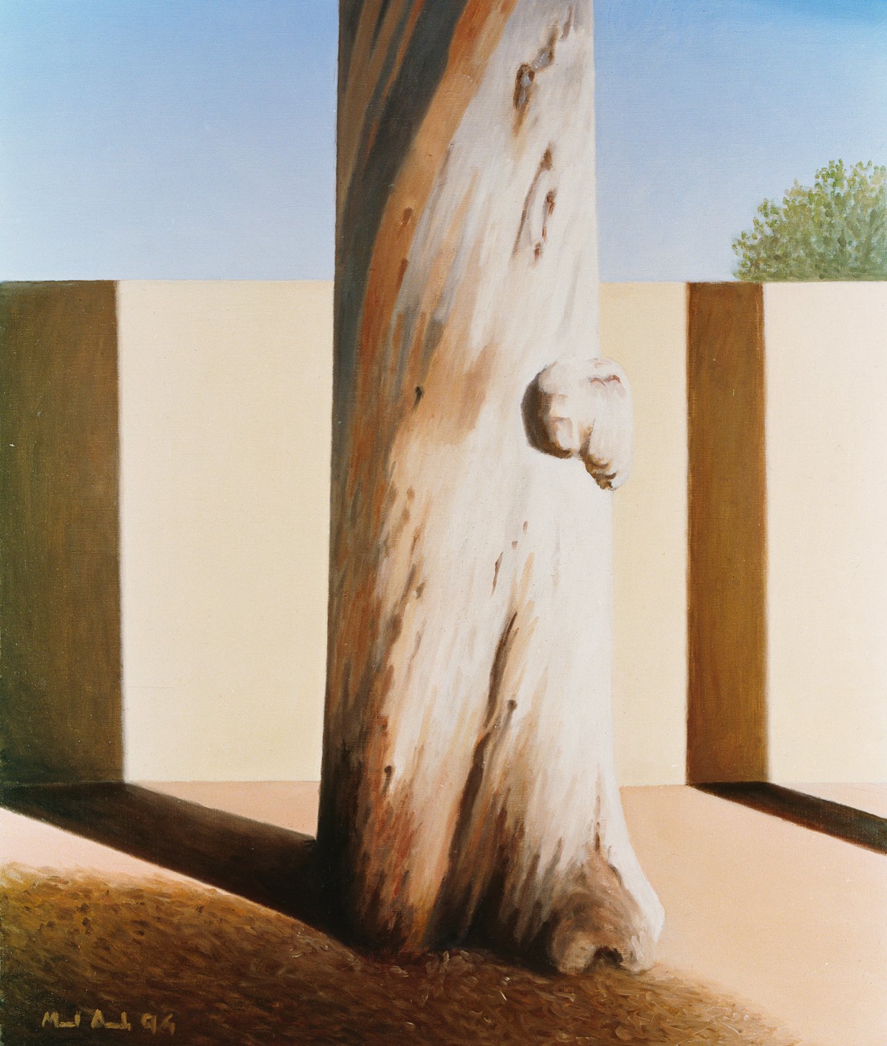 Eucalyptus Tree by the Wall