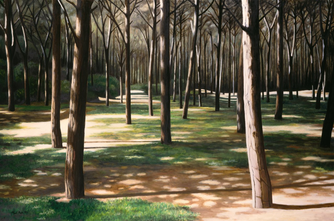 The Big Pine Forest