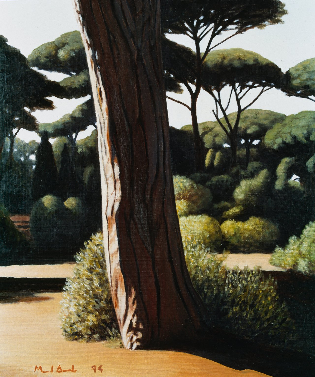 The Pine Forest I