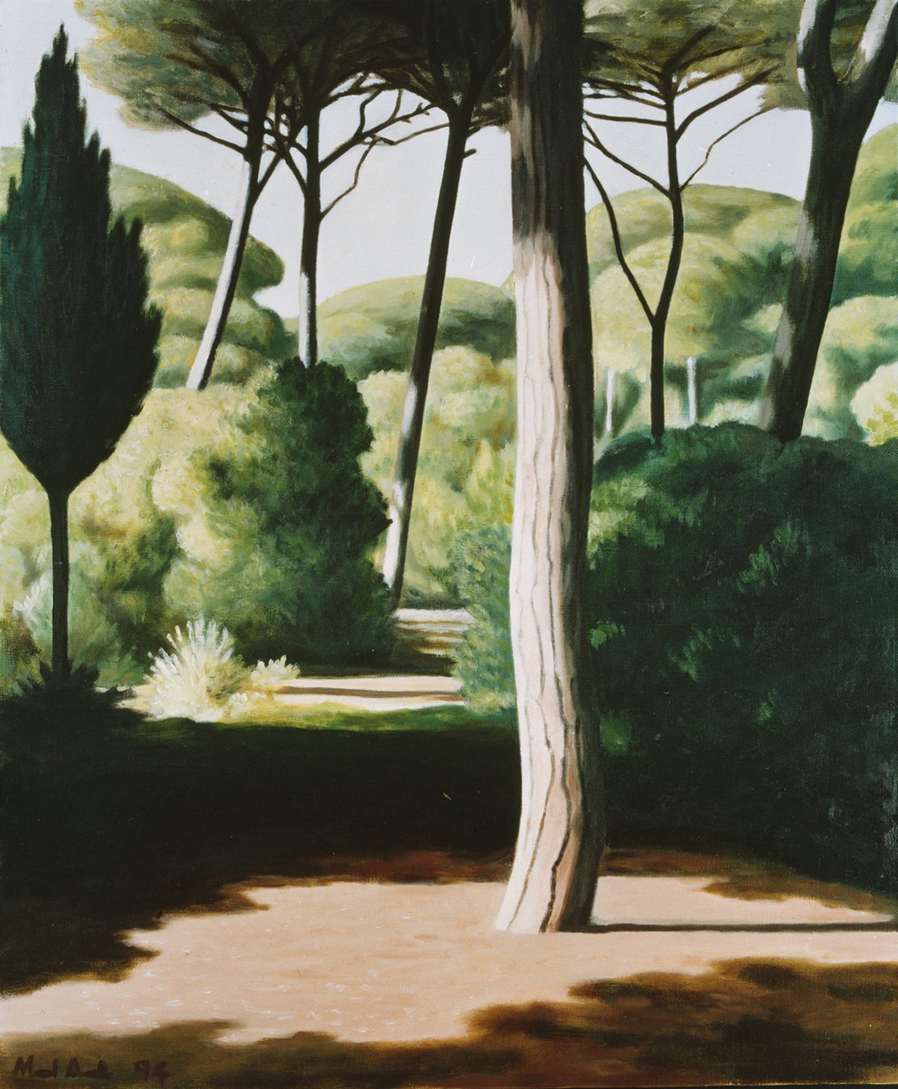 The Pine Forest II