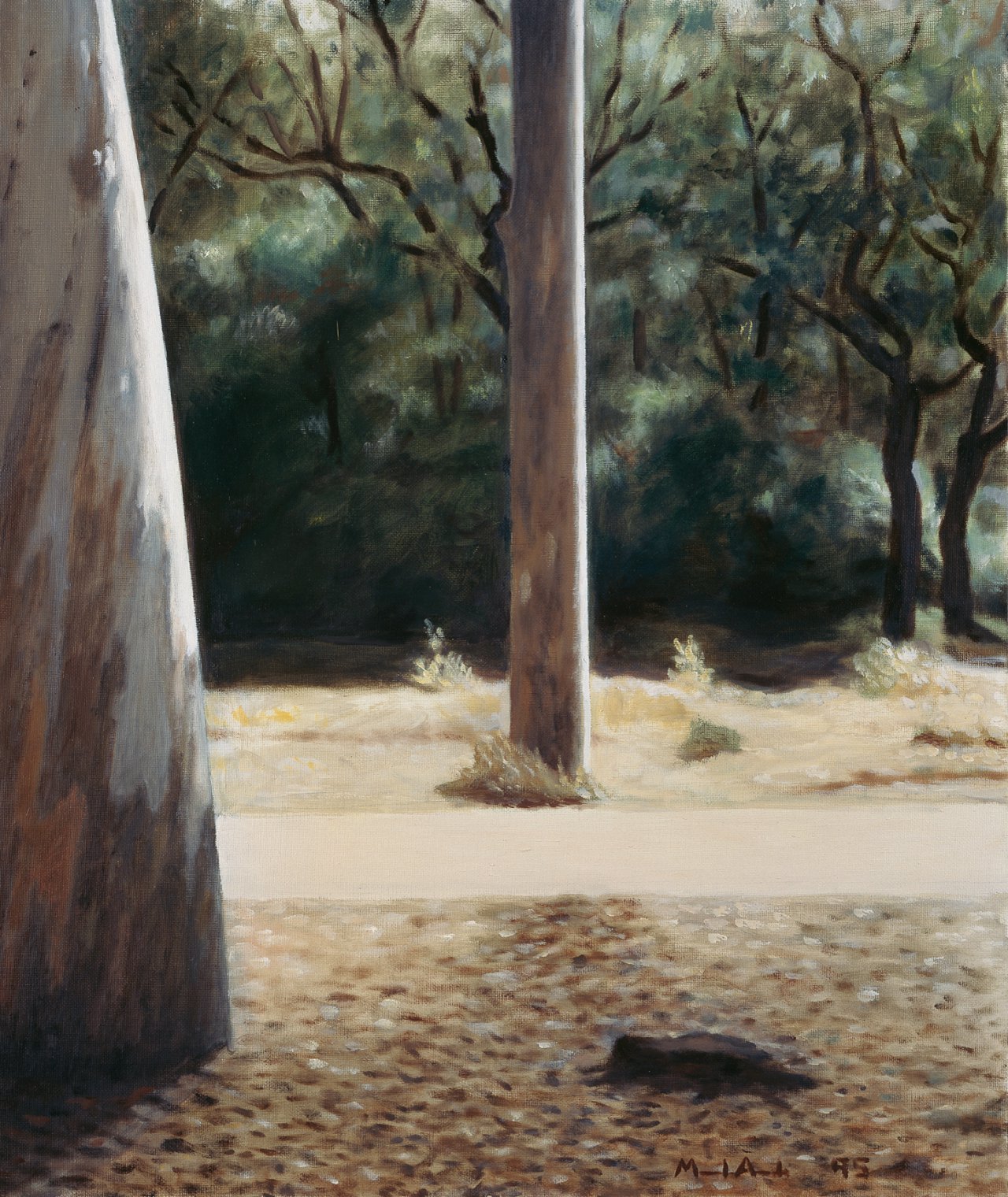 Road with Eucalyptus Trees I