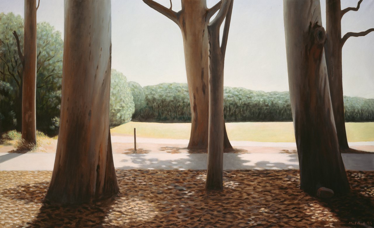 Road with Eucalyptus Trees