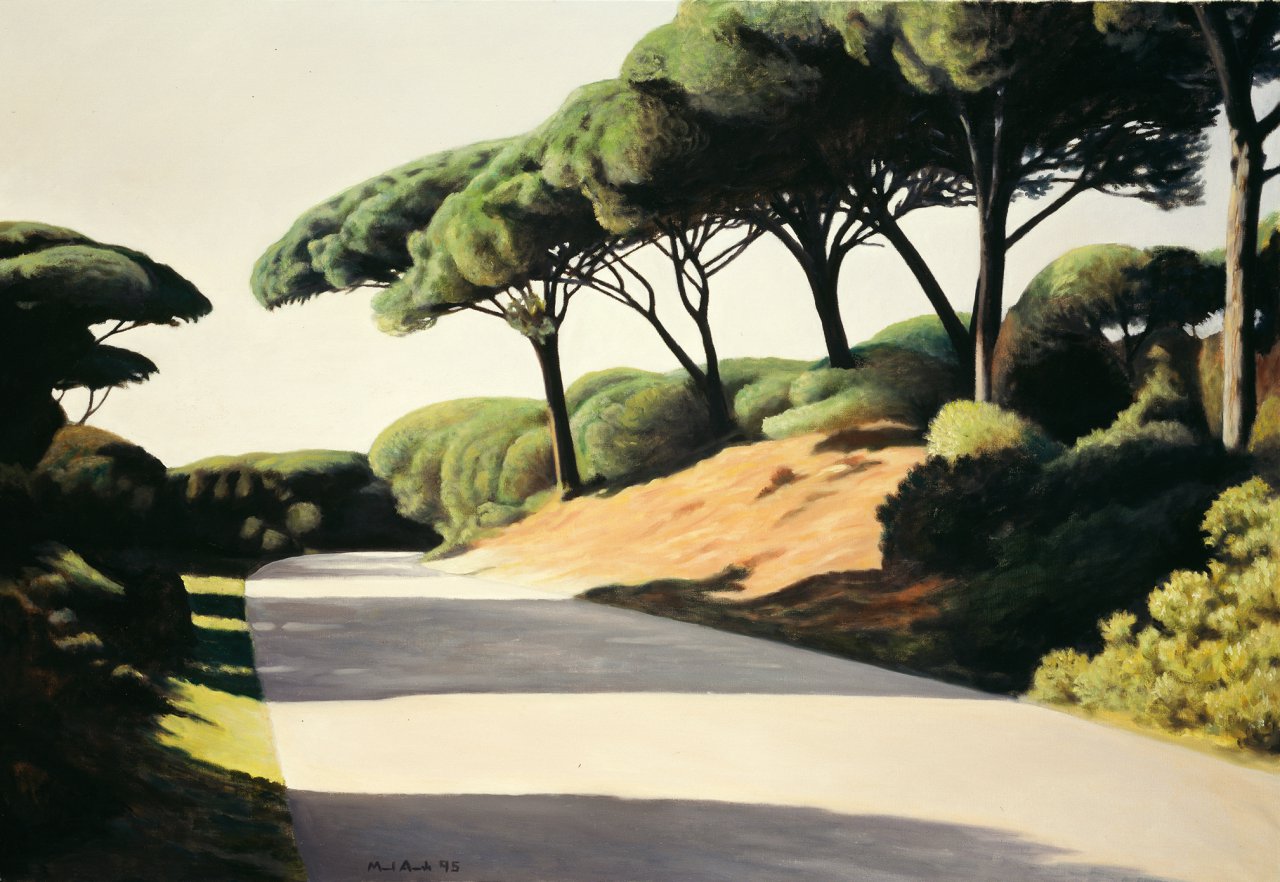 Road in the Pine Forest