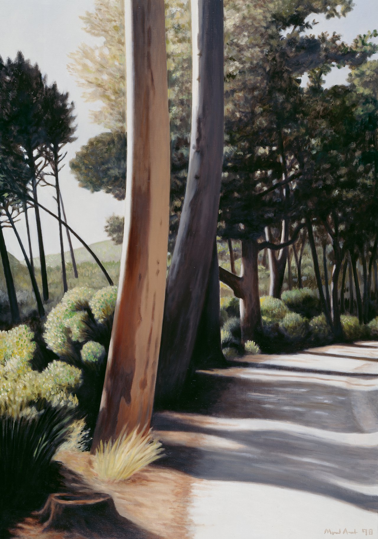 Road with Eucalyptus Trees I