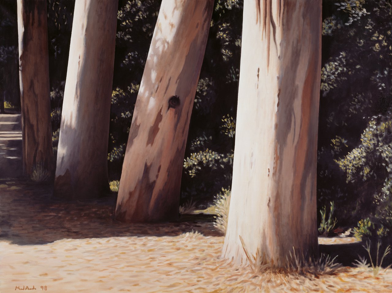 The Eucalyptus Trees
