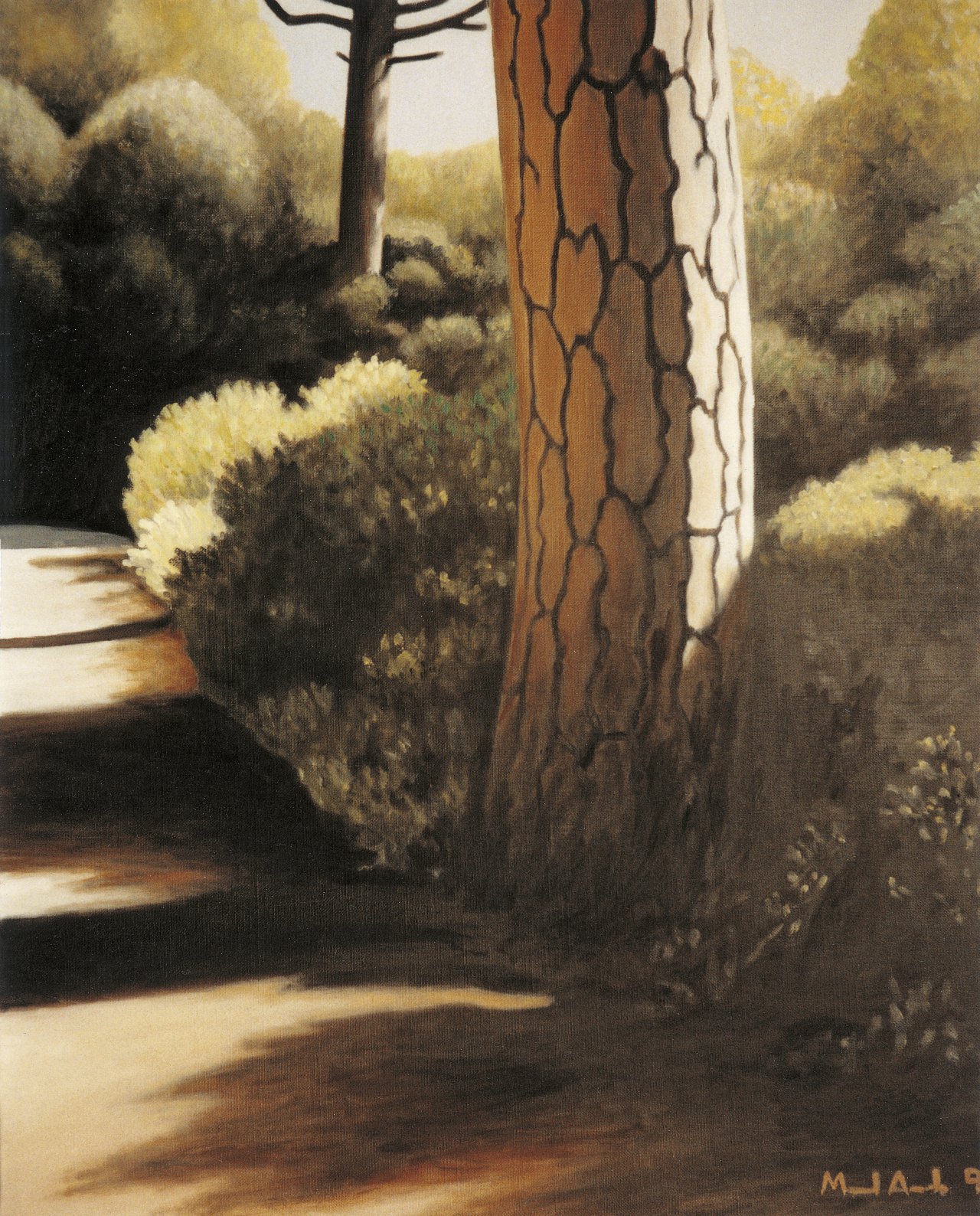 Pine Tree
