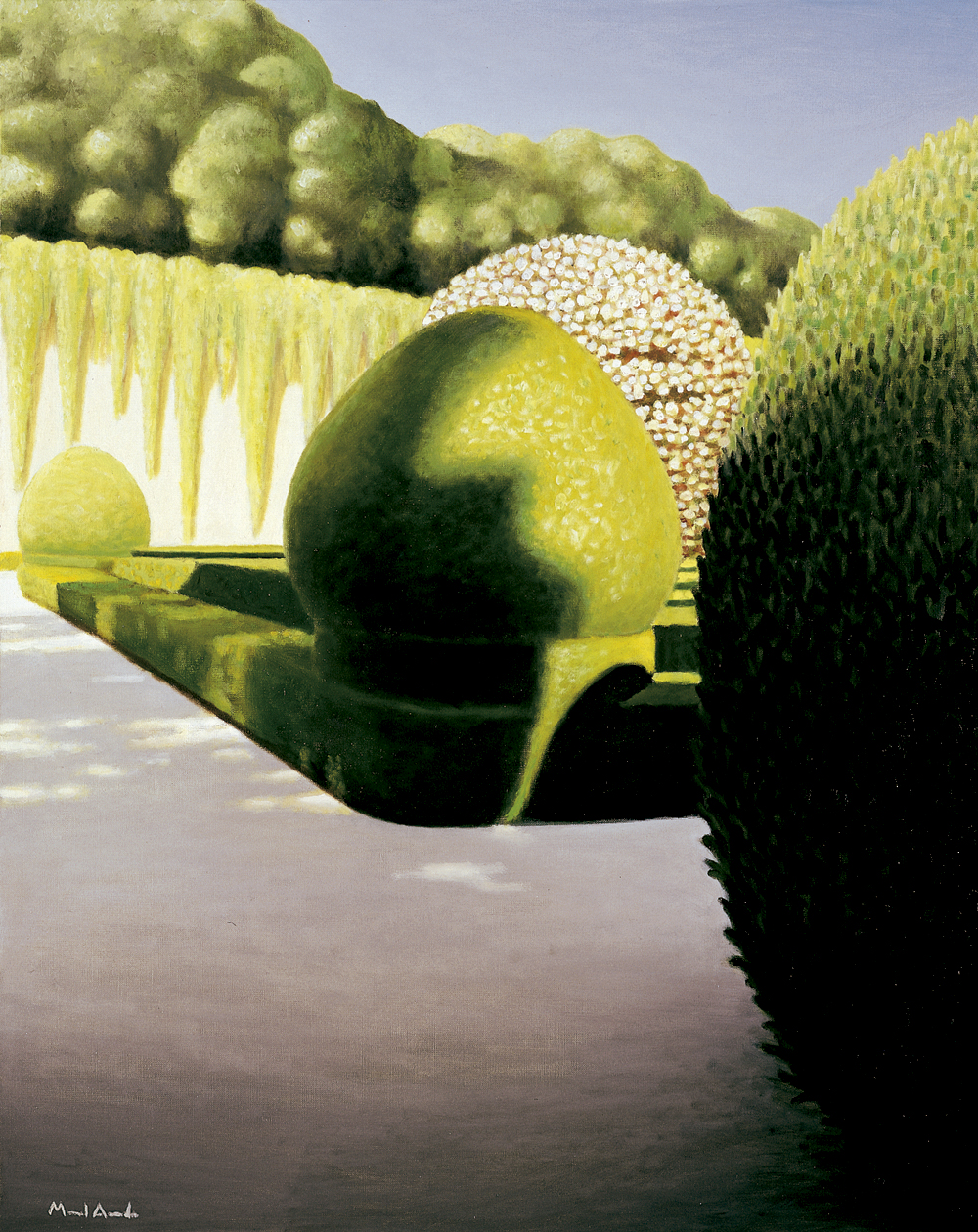 O jardim encantado XIII
