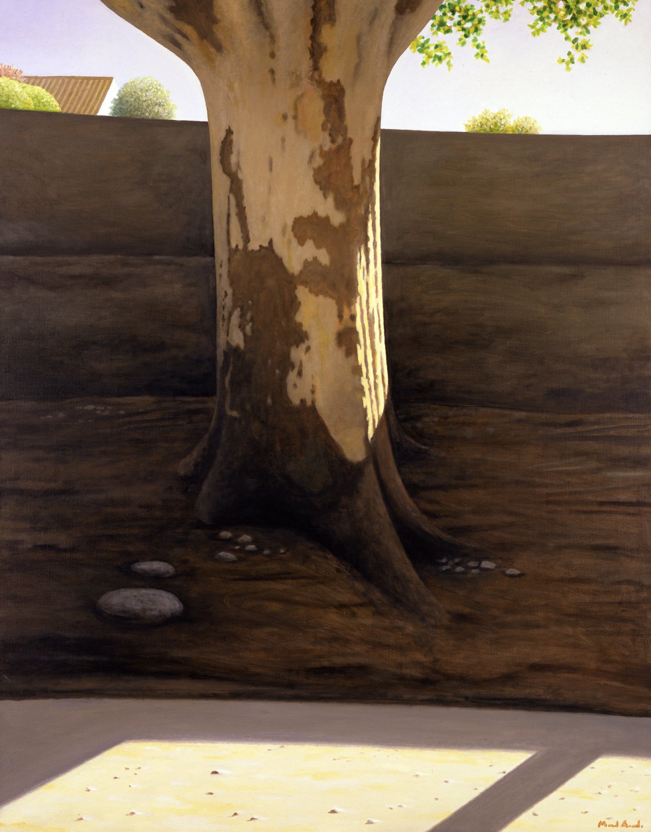 Tree by the Path