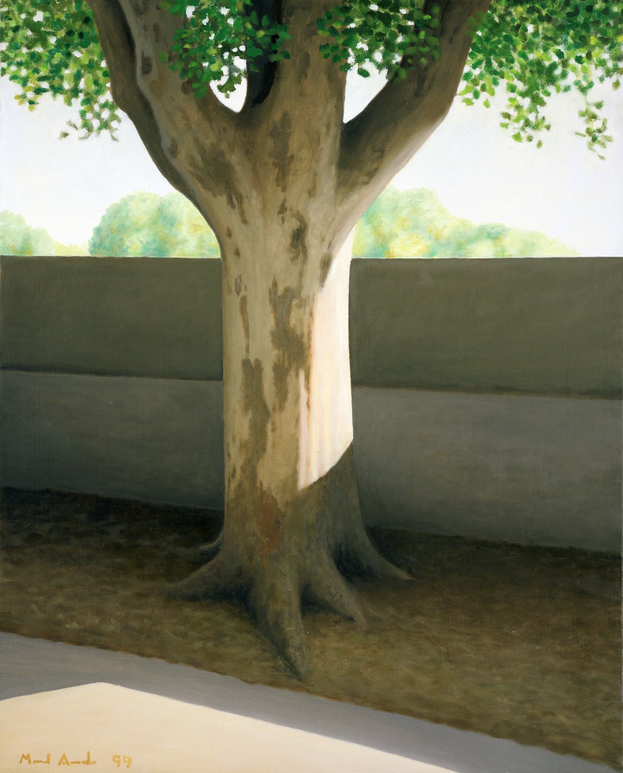 Tree Next to the Wall
