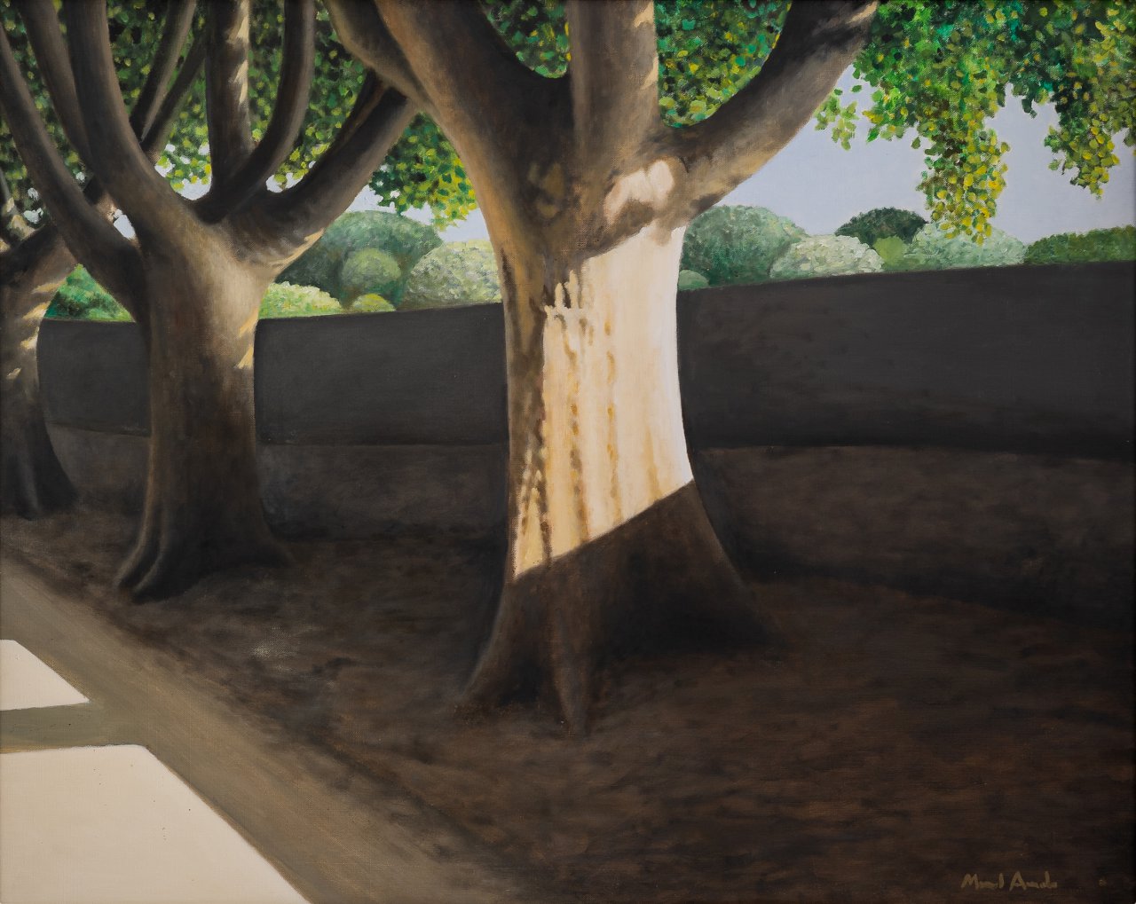 Trees by the Road